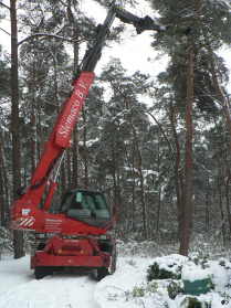 Bomen rooien dec 2009 7